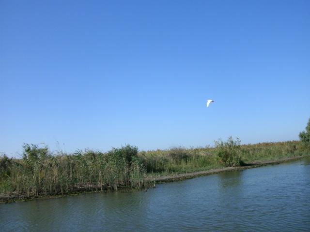 Delta forever - gedc0205.JPG